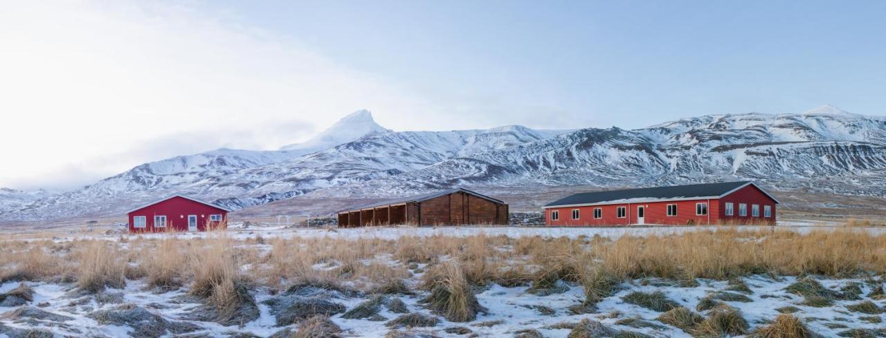Alfheimar Hotel Borgarfjordur Eystri Kültér fotó